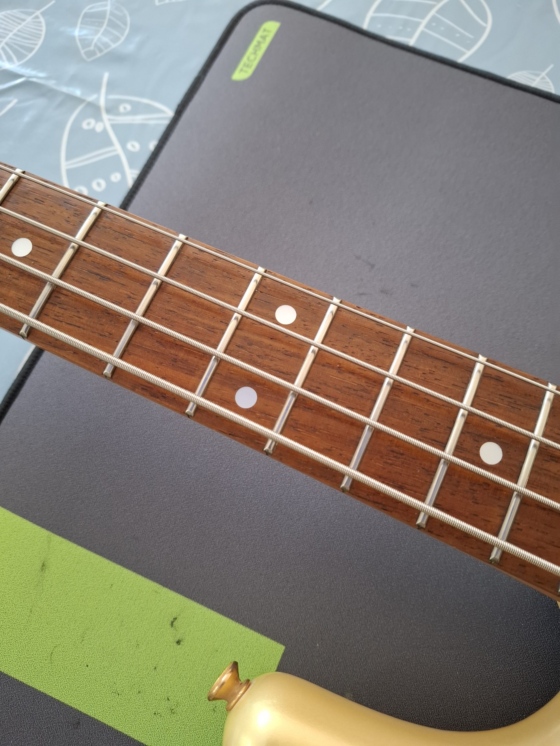 Polished frets